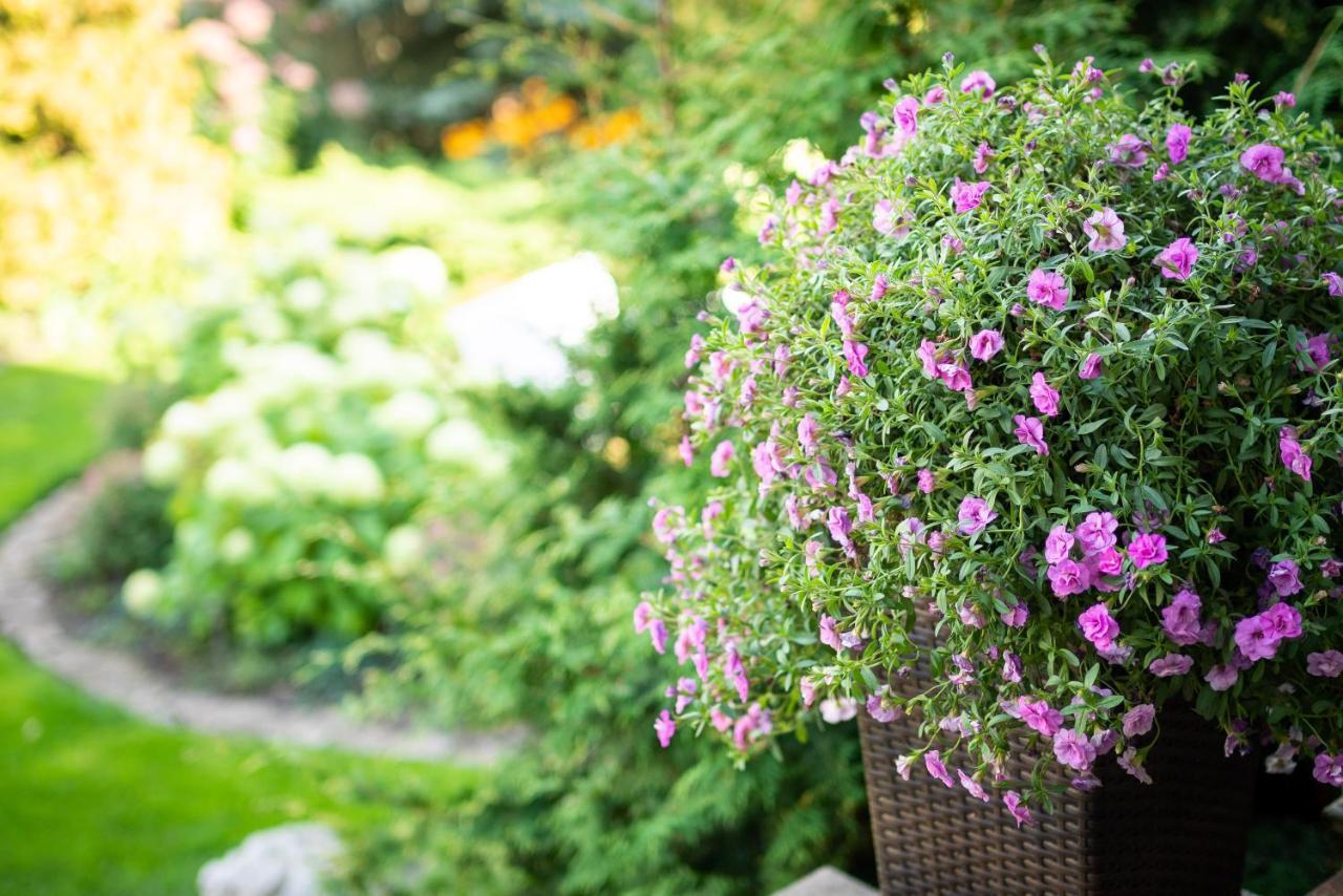 City Center Garden Camping Tallinn Eksteriør billede